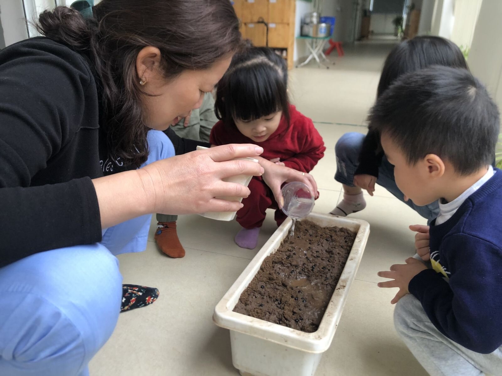 Dự án Rau mầm- MGB