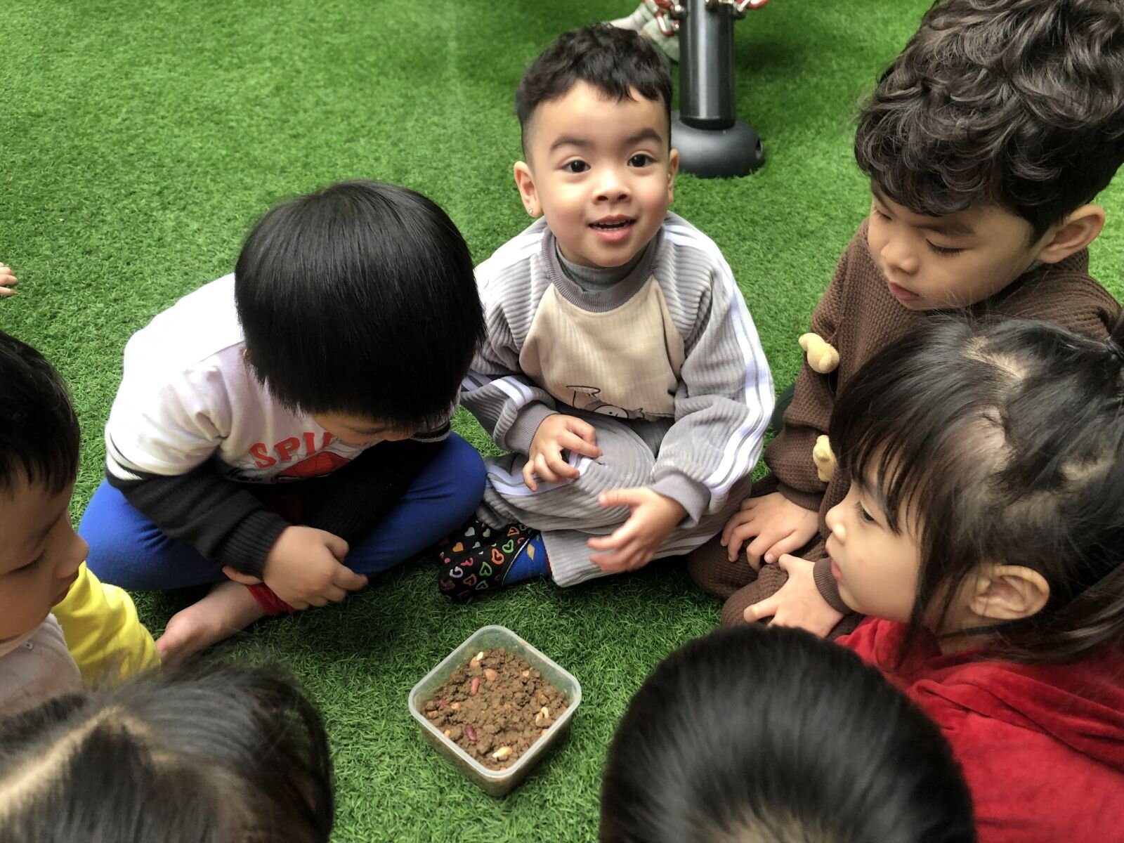 Dự án Rau mầm- MGB