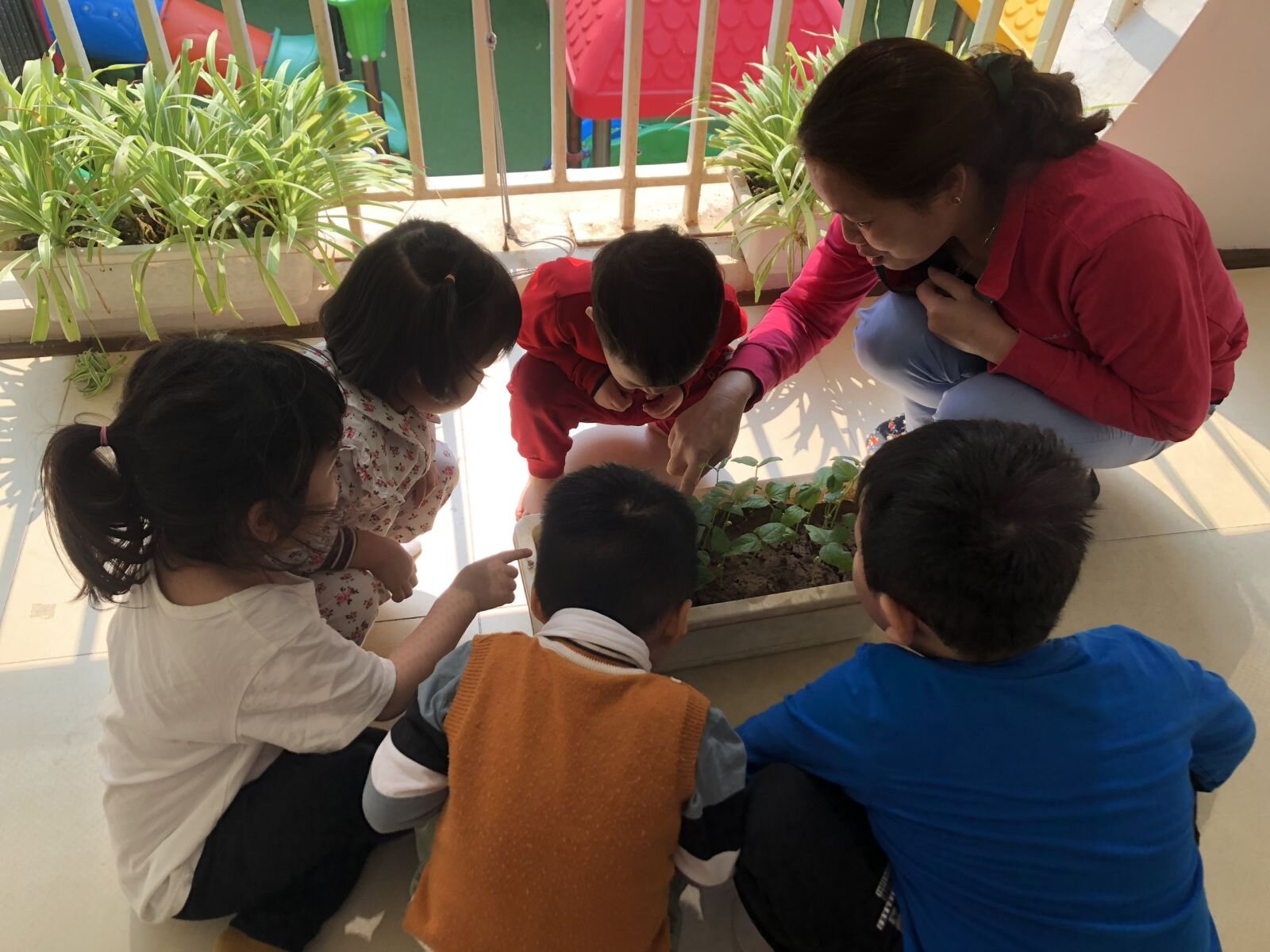 Dự án Rau mầm- MGB