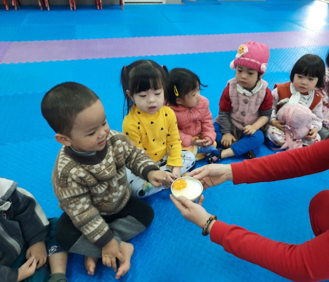 Dự án trứng - Nhà trẻ