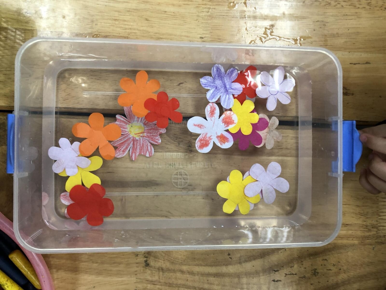 Dự án Giấy trong cuộc sống -MGB