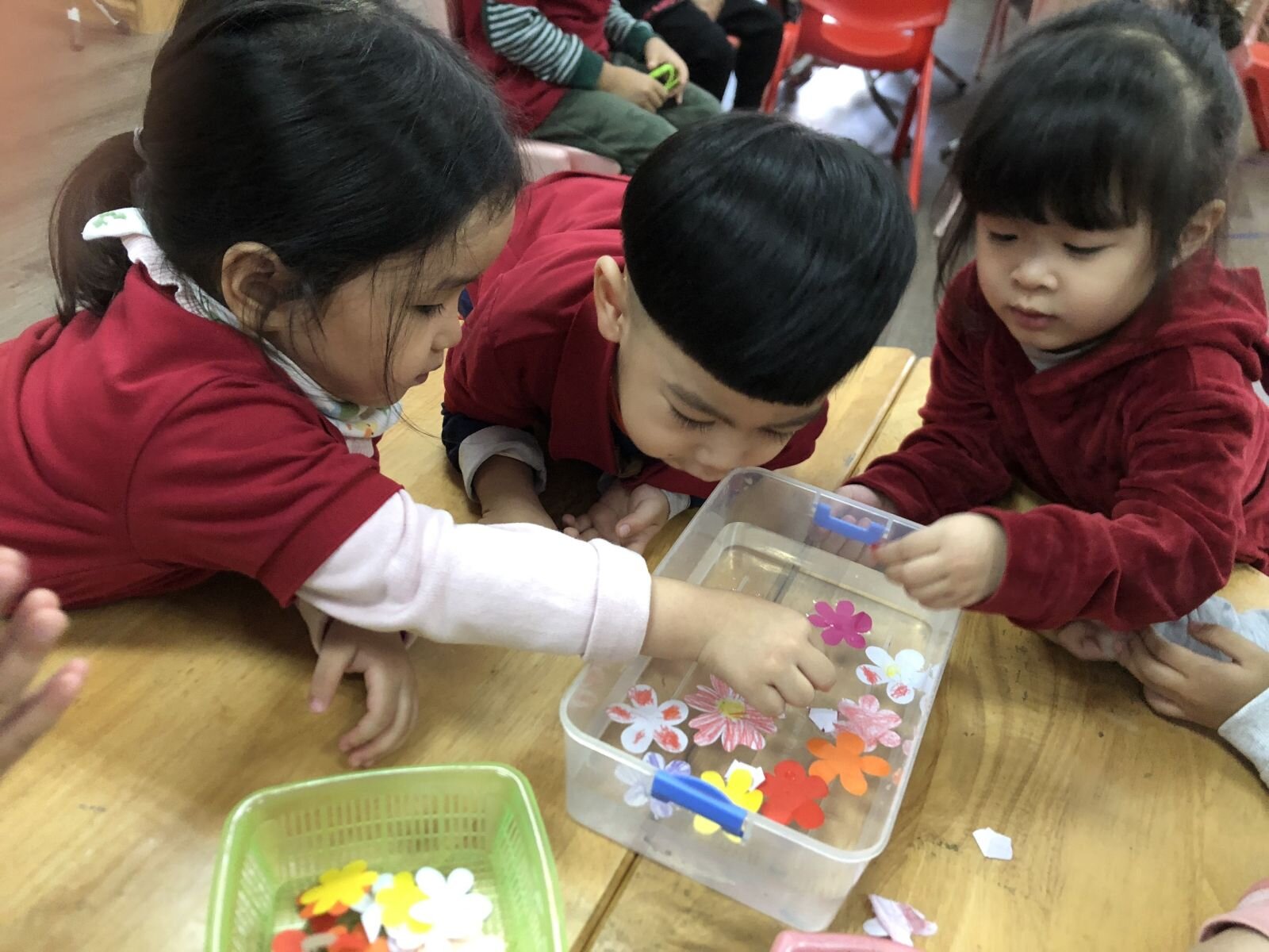 Dự án Giấy trong cuộc sống -MGB