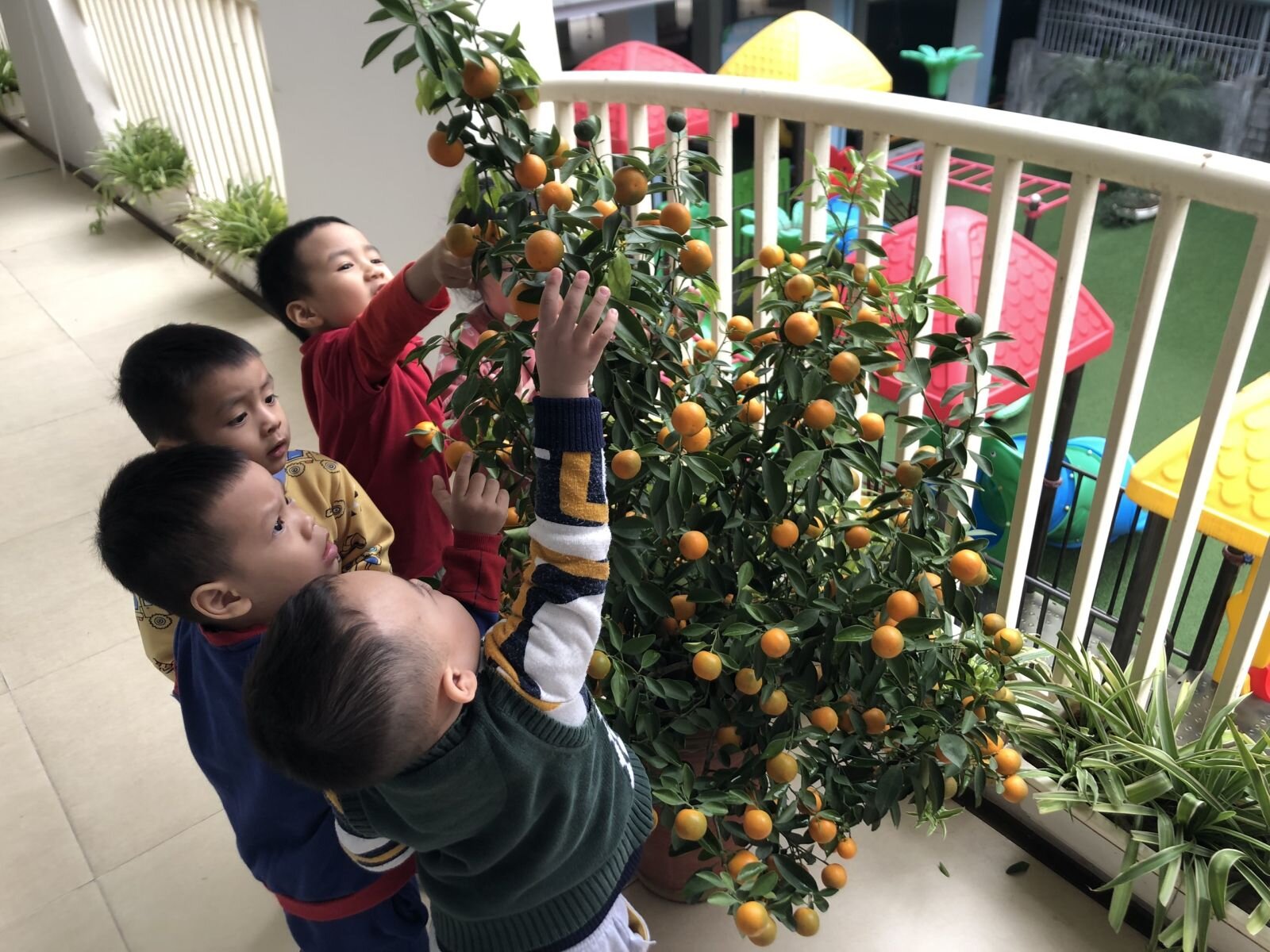 Dự án Phong bao lì xì -MGB