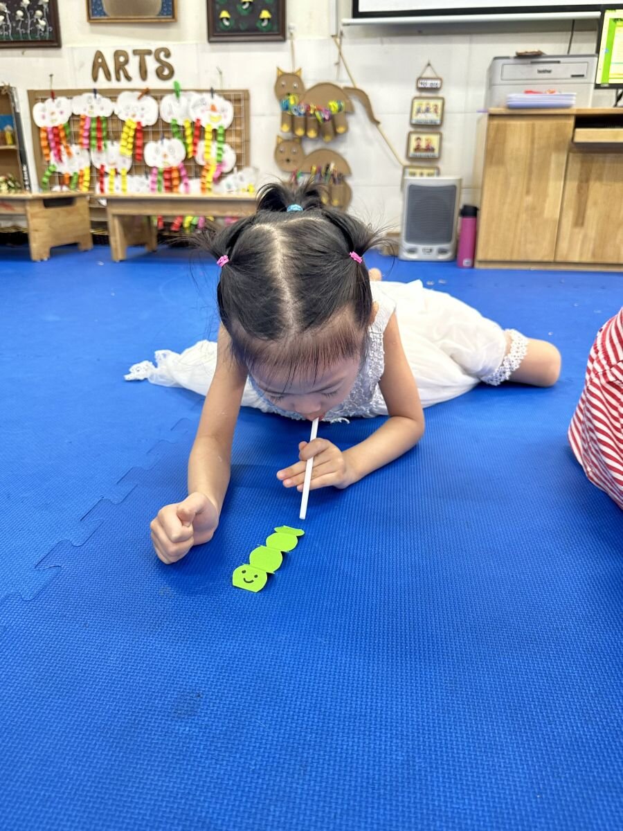 HĐTH; Những chú Sâu ngộ nghĩnh