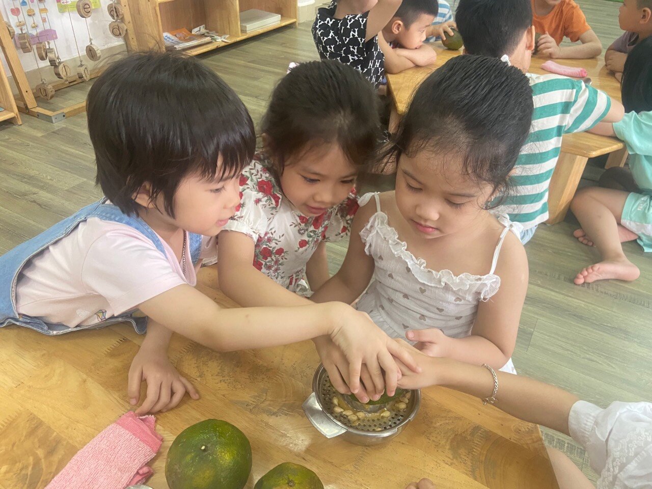 Tiết học khám phá quả cam