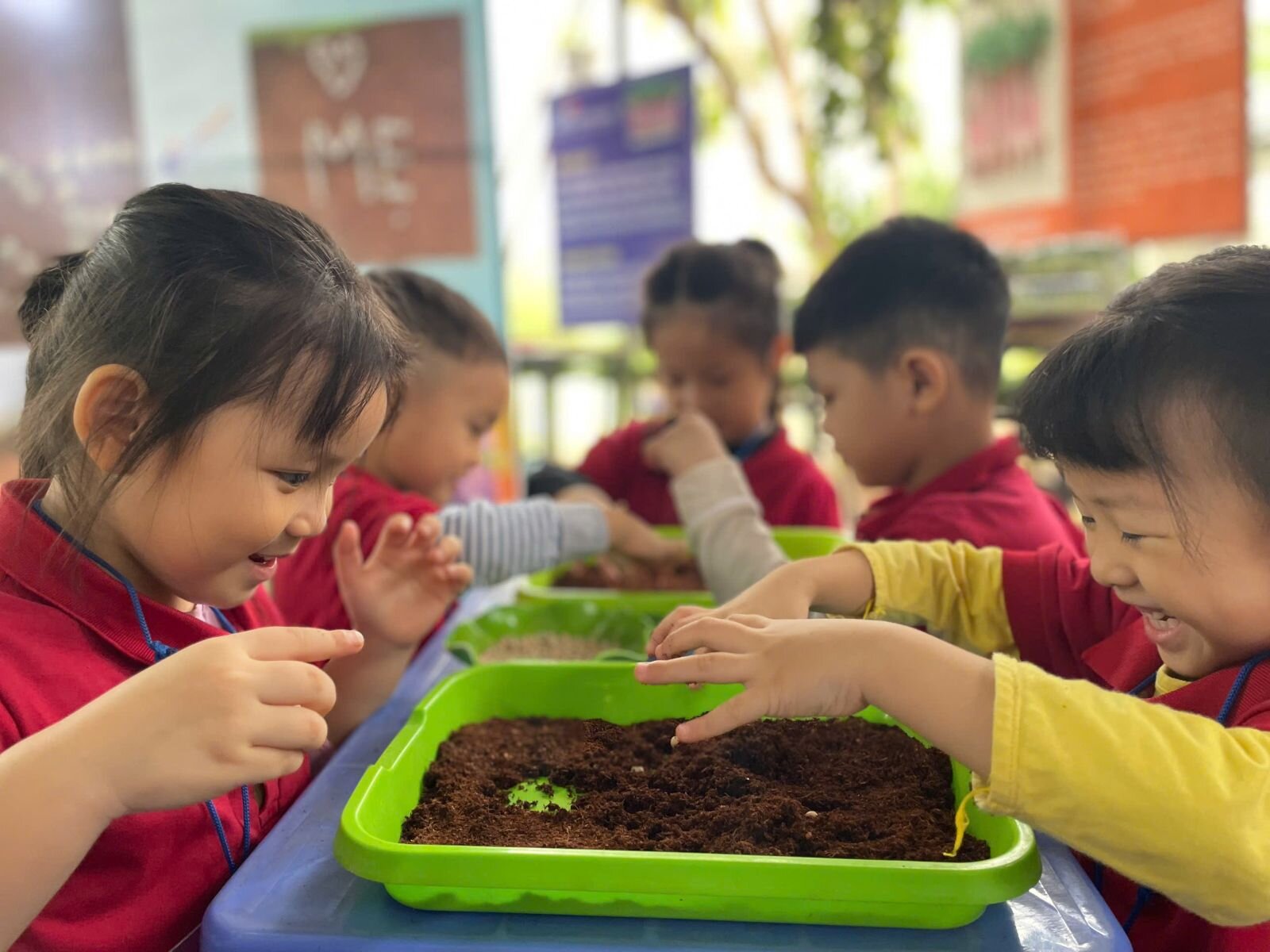 TRƯỜNG MẦM NON TỨ LIÊN TỔ CHỨC CHO TRẺ THAM GIA CHƯƠNG TRÌNH GIÁO DỤC NGOẠI KHÓA TẠI CÔNG VIÊN CẦU VỒNG