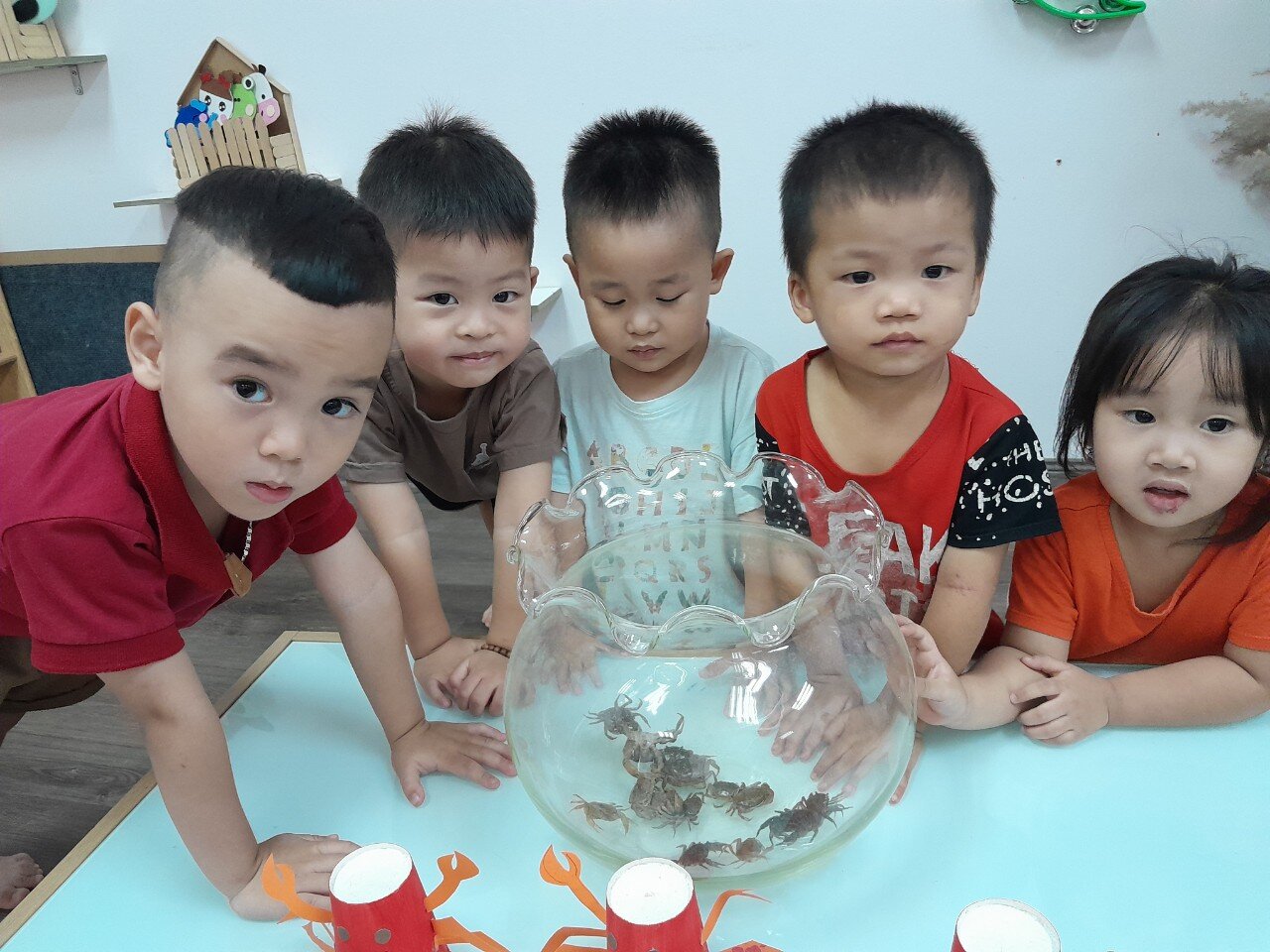 Con cua - Khối nhà trẻ