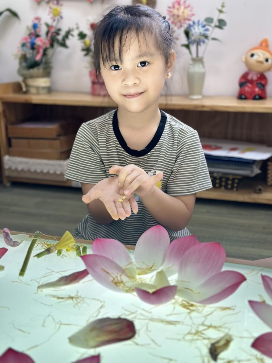 Khám phá Hoa Sen - Khối mẫu giáo nhỡ