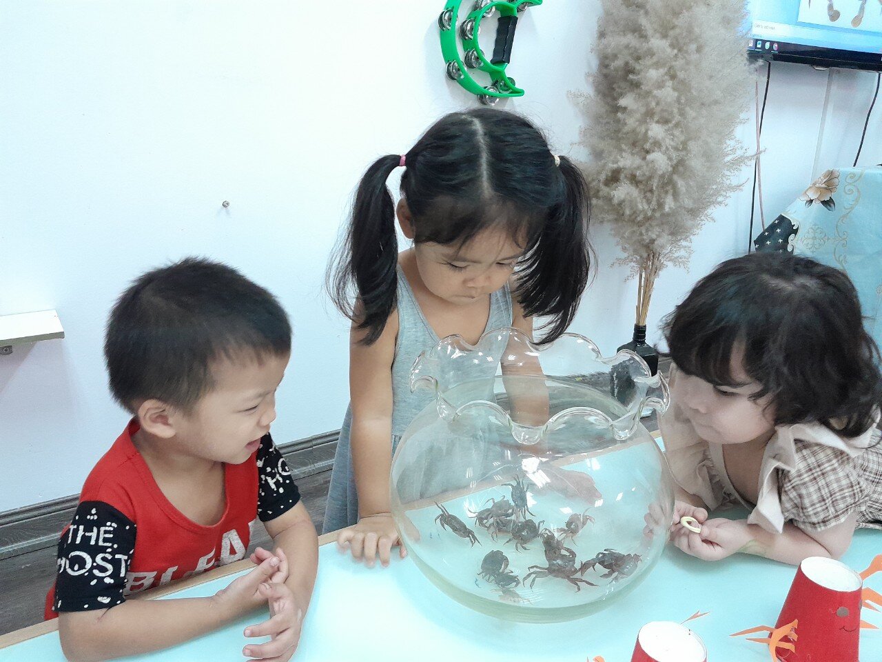 Con cua - Khối nhà trẻ