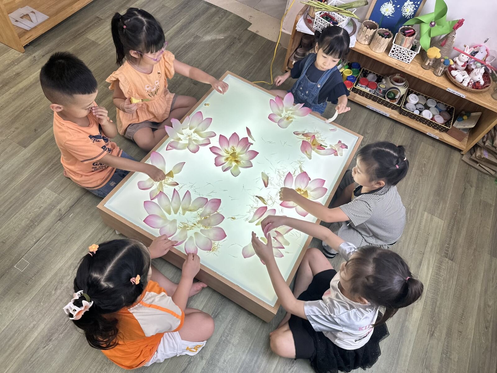 Khám phá Hoa Sen - Khối mẫu giáo nhỡ