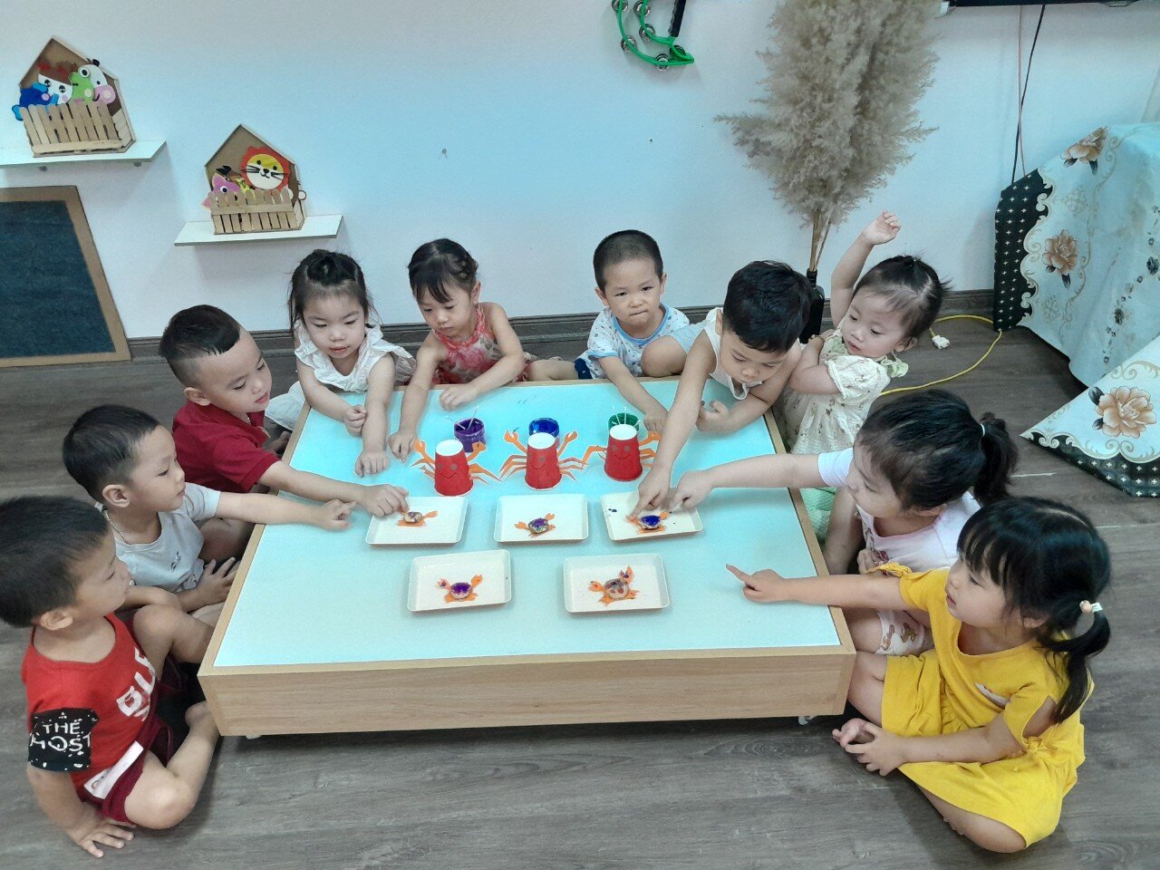 Con cua - Khối nhà trẻ