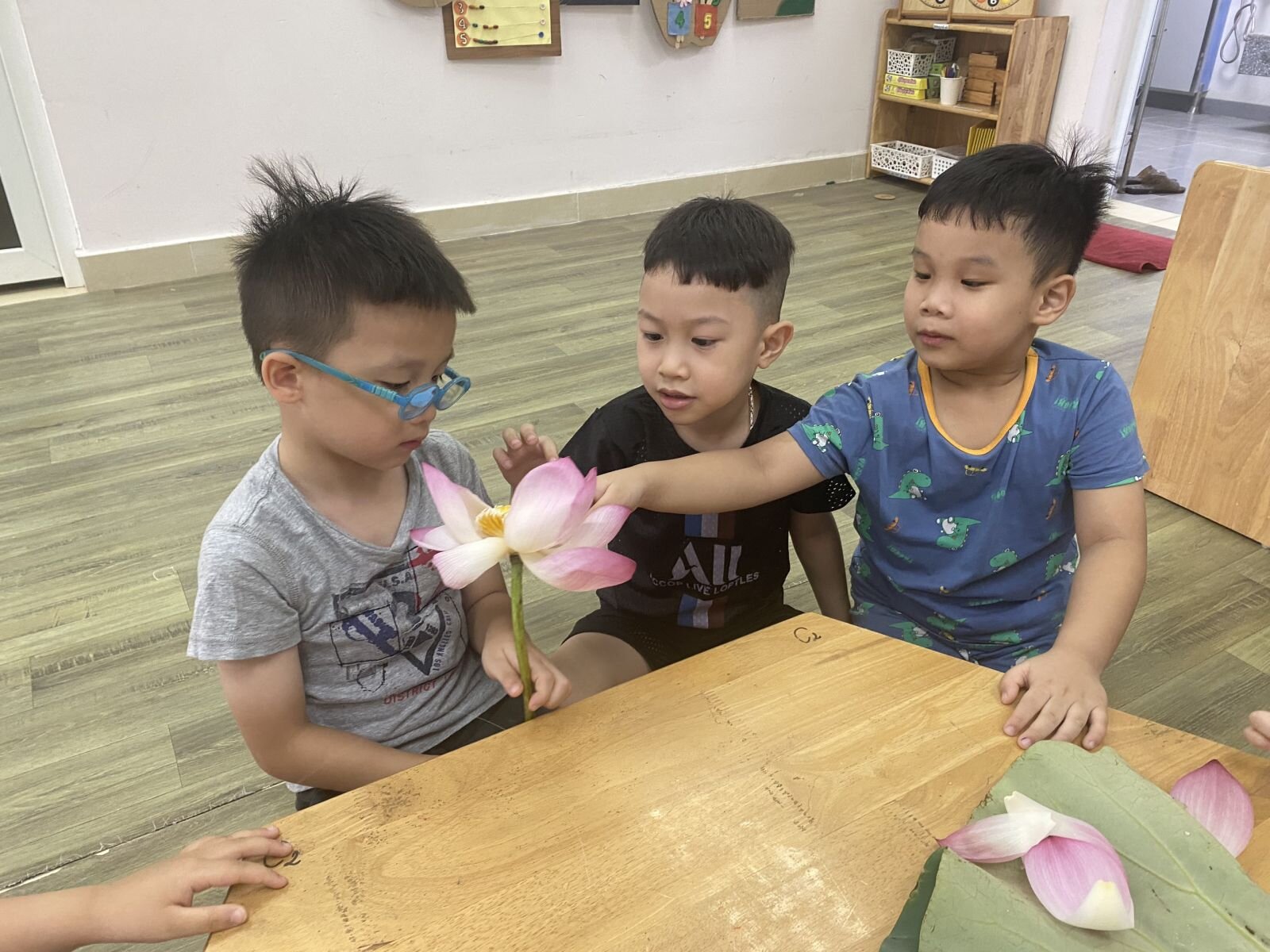 Khám phá Hoa Sen - Khối mẫu giáo nhỡ