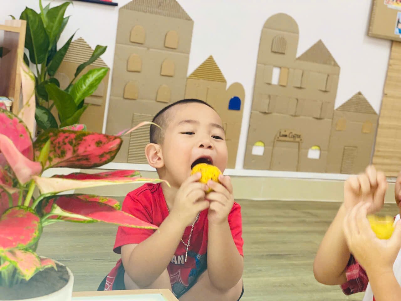 Khối MGB với dự án 