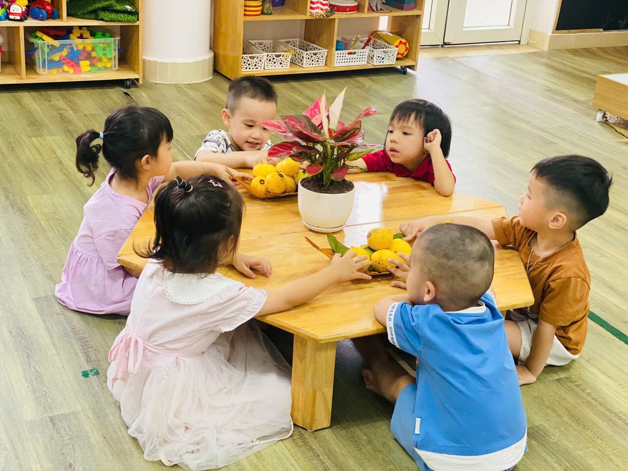 Khối MGB với dự án 