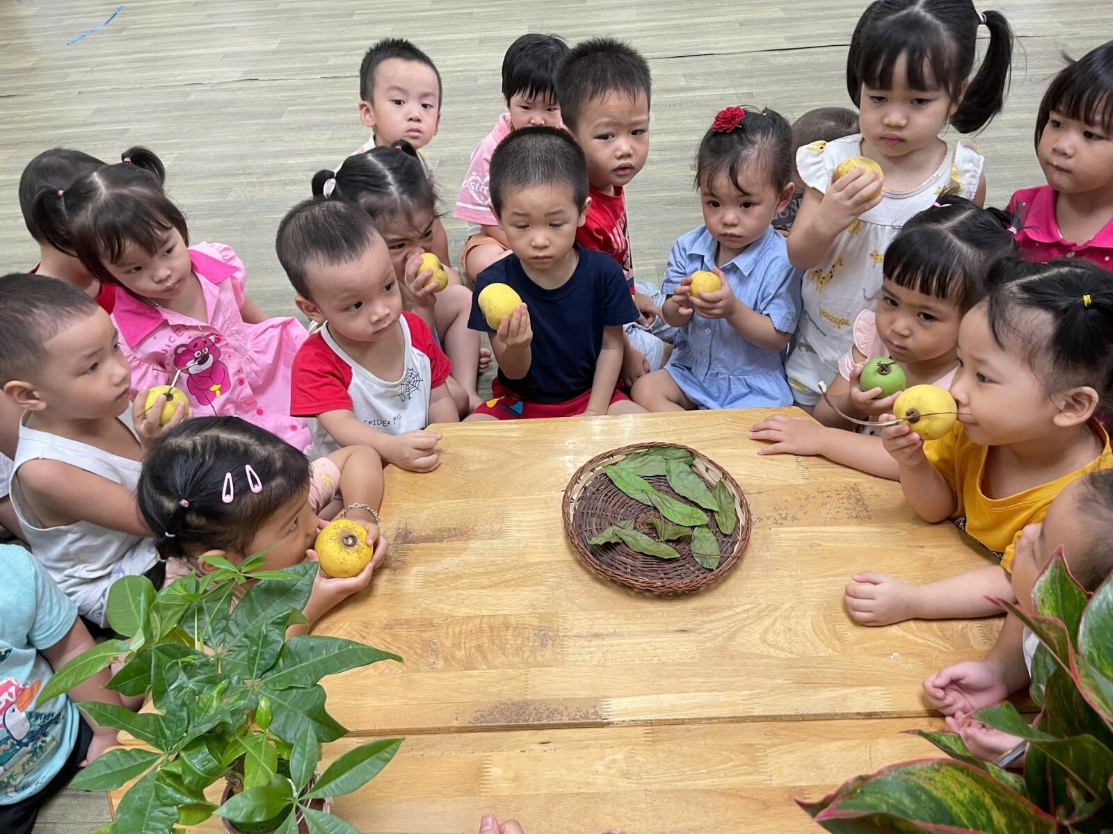 Khối MGB với dự án 