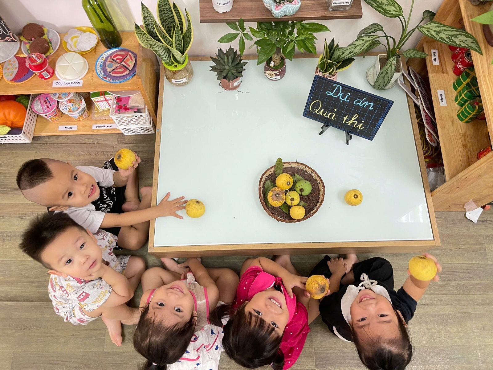 Khối MGB với dự án 