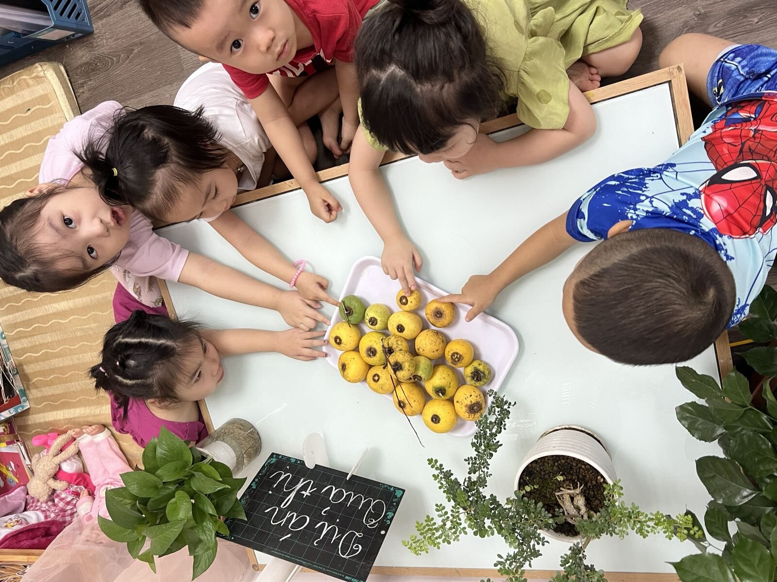 Khối MGB với dự án 